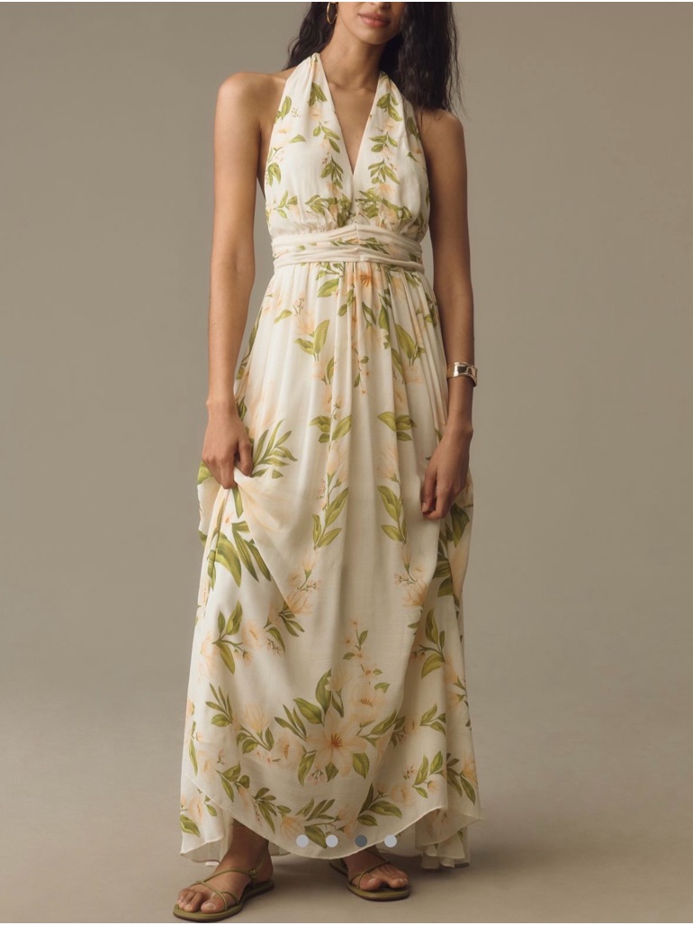 Farm Rio X Anthropologie V-Neck Floral Chiffon Maxi Dress